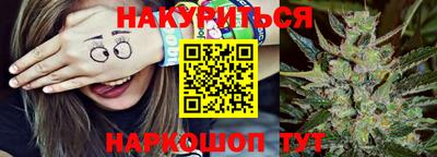стаф Бердск