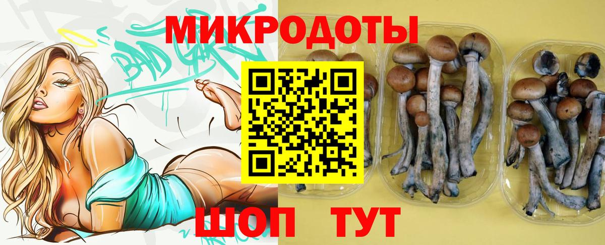 Галлюциногенные грибы GOLDEN TEACHER Белово